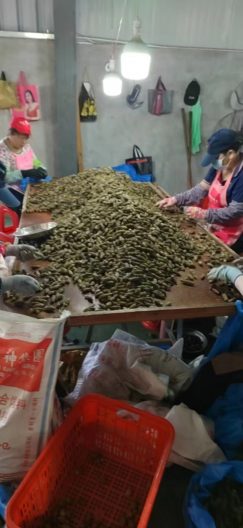 微信图片_20240815105656