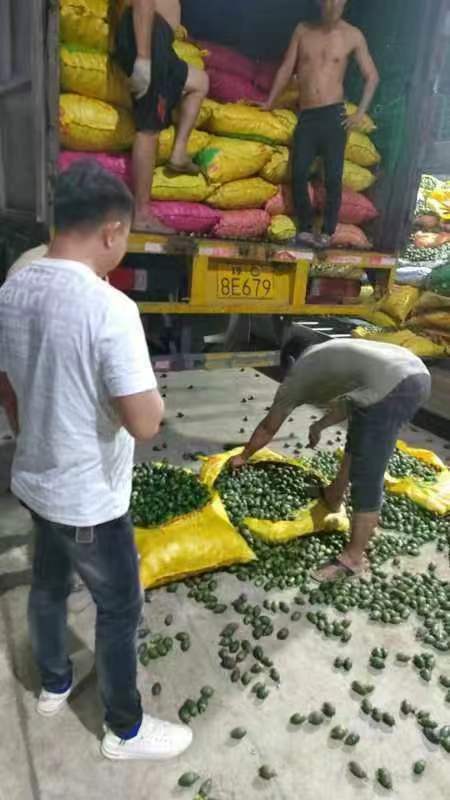微信图片_20240815105712
